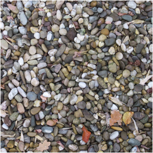 looking at gravel für Webk.jpg