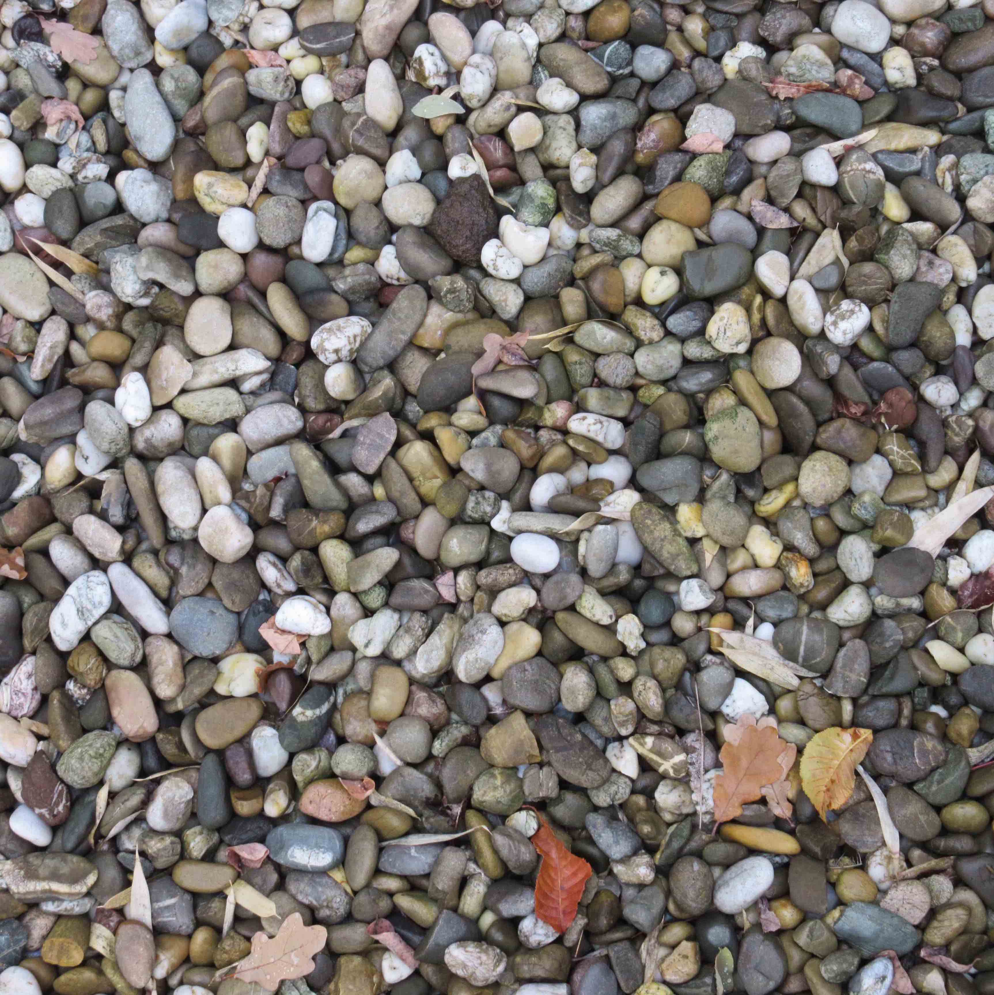 looking at gravel für Webk.jpg